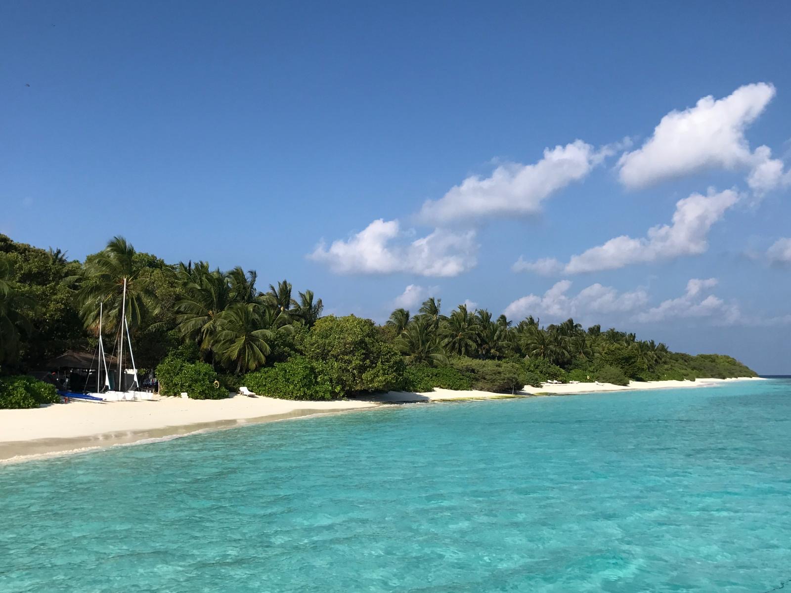JA-Sagen im Malediven-Paradies – Doch was gilt in Deutschland? Was wir aus der Bohlen-Hochzeit lernen können.